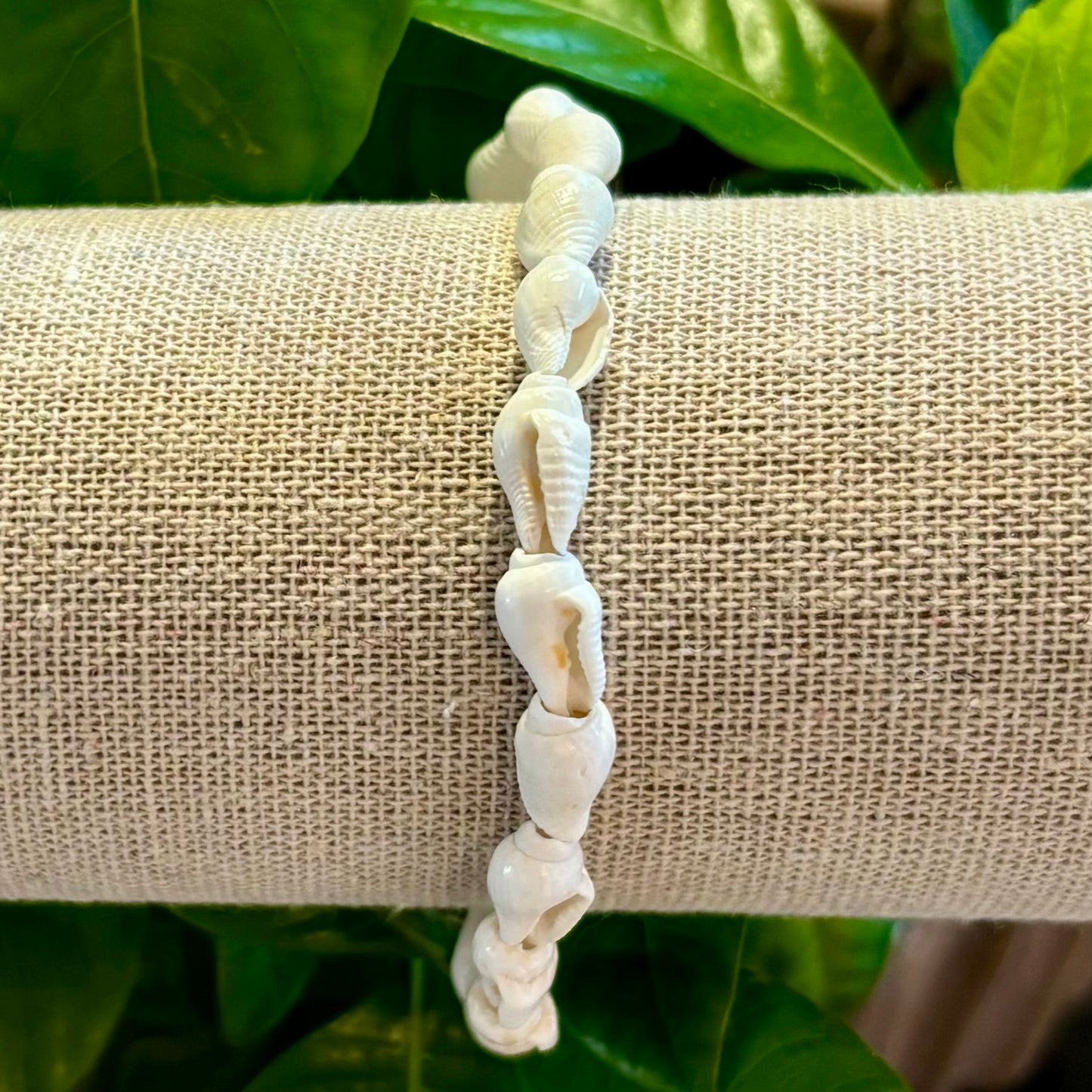 Armbånd af hvide konkyler Armbånd af hvide konkyler