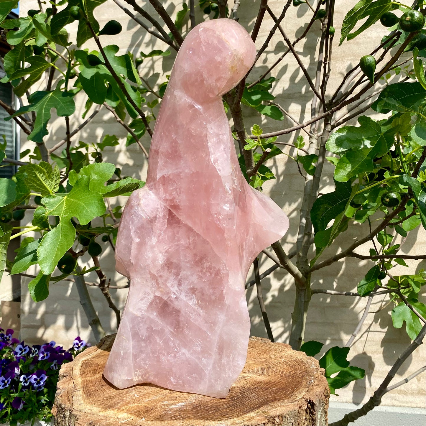 Poleret Rosakvarts "Madonna" - 47cm / 27 kg Poleret Rosakvarts