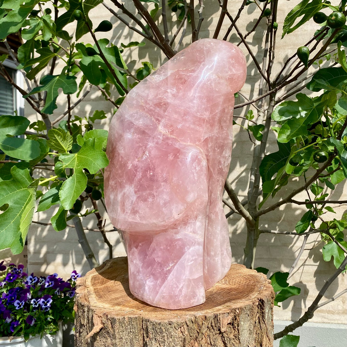 Poleret Rosakvarts "Madonna" - 47cm / 27 kg Poleret Rosakvarts