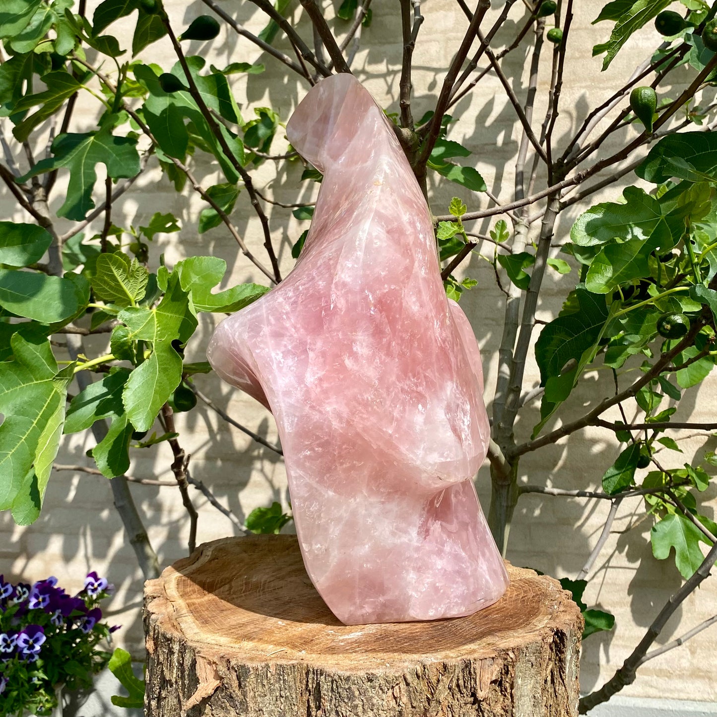 Poleret Rosakvarts "Madonna" - 47cm / 27 kg Poleret Rosakvarts