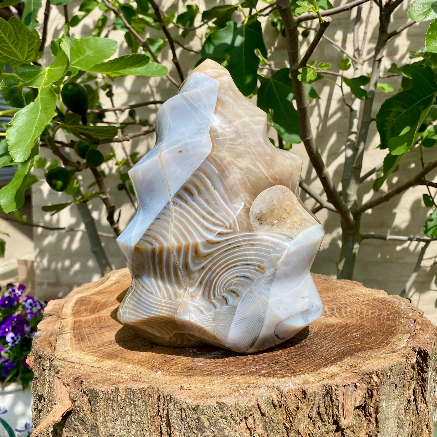 Poleret Rosakvarts "Madonna" - 47cm / 27 kg Poleret Rosakvarts