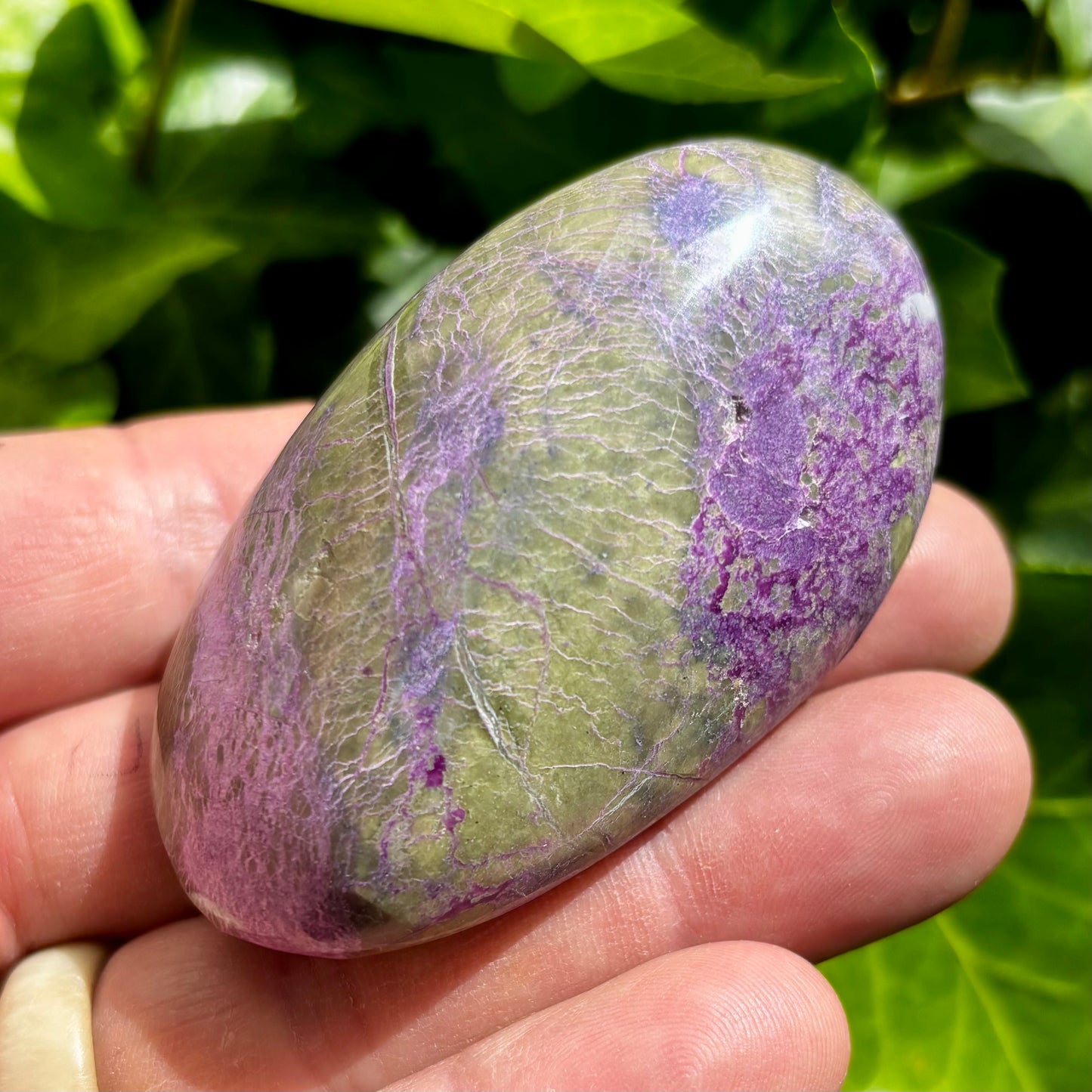 Stichtit i serpentin - palmstone | 7 cm Stichtit i serpentin - palmstone | 7 cm