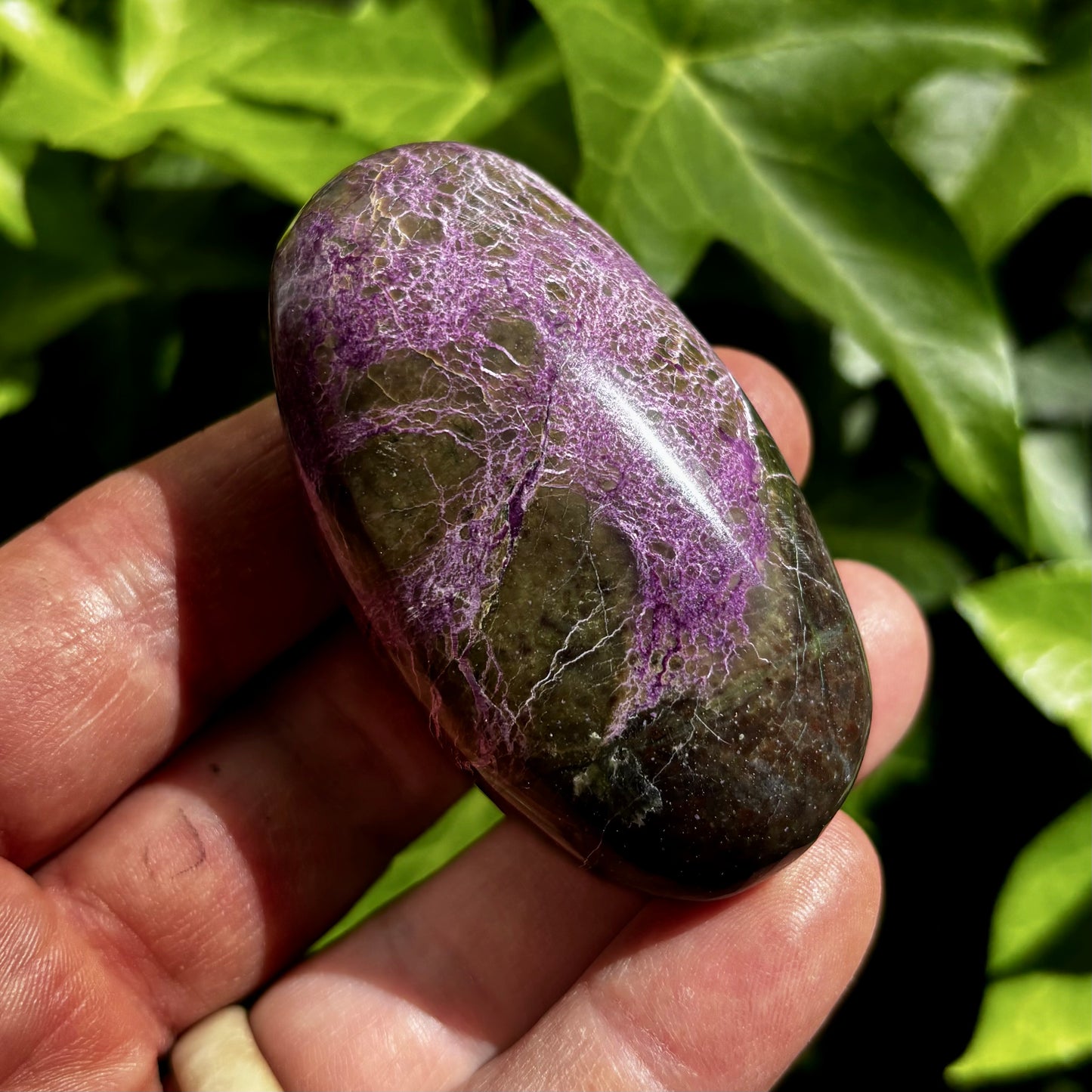 Stichtit i serpentin - palmstone | 7 cm Stichtit i serpentin - palmstone | 7 cm