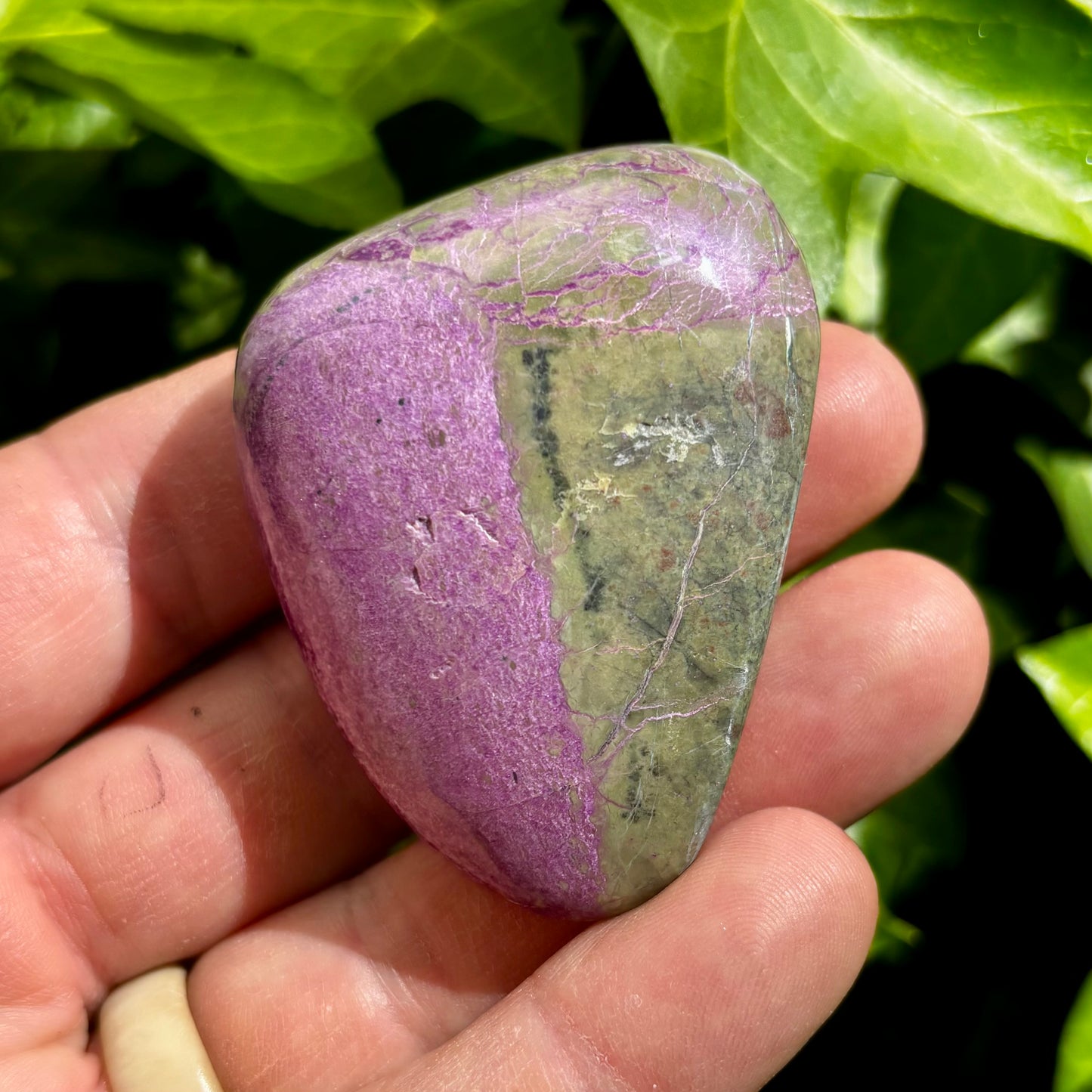 Stichtit i serpentin - palmstone | 6 cm Stichtit i serpentin - palmstone | 6 cm