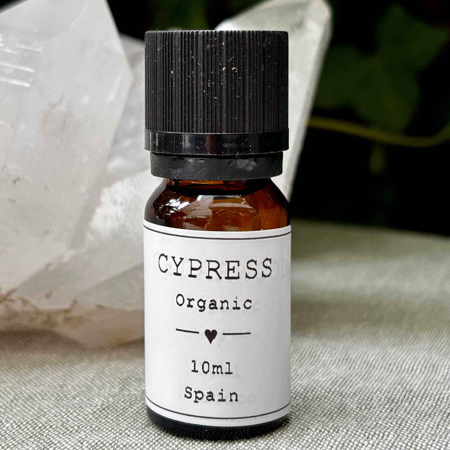 Cypress Æterisk Olie | økologisk | 10 ml Cypress Æterisk Olie | økologisk | 10 ml