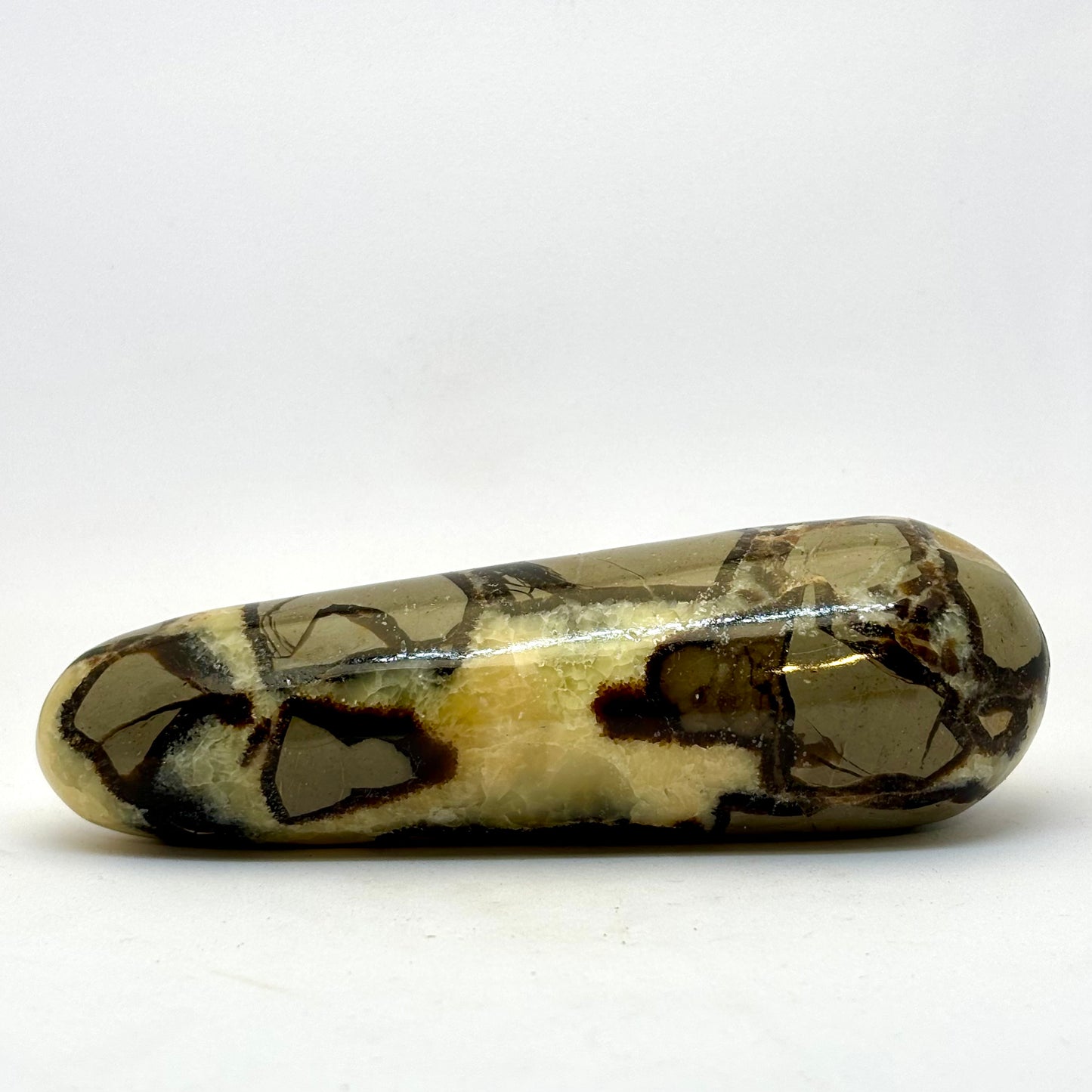 Septarie healerstav 14 cm Septarie healerstav 14 cm