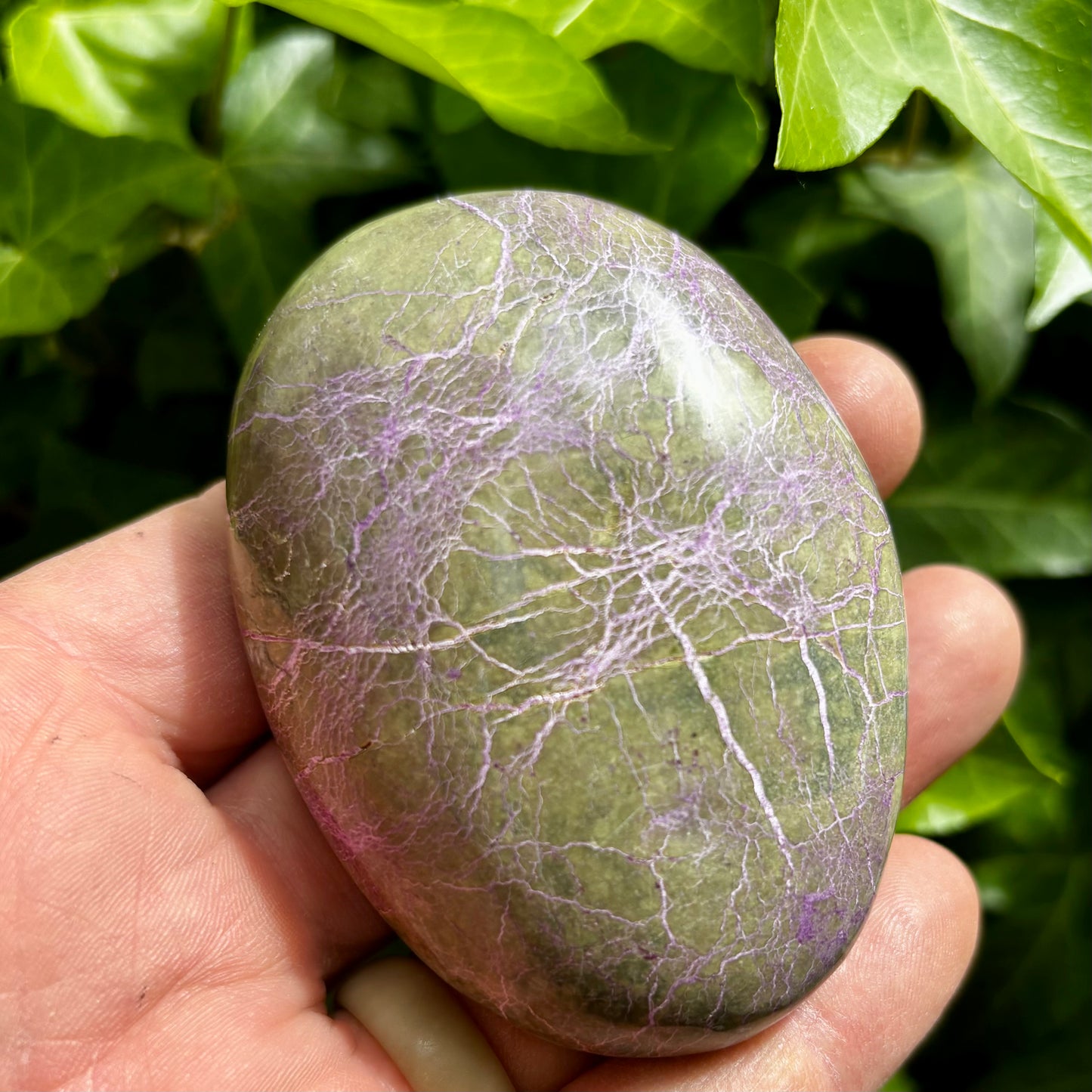 Stichtit i serpentin - palmstone | 8 cm Stichtit i serpentin - palmstone | 8 cm