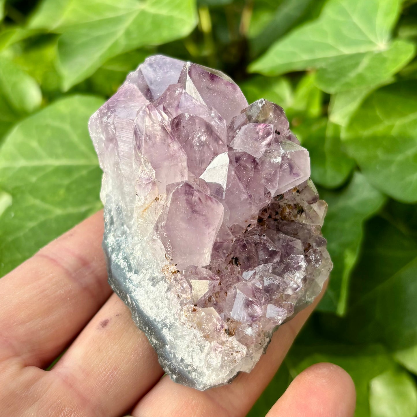 Ametyst klynge Brasilien nr 11 Ametyst klynge Brasilien nr 11