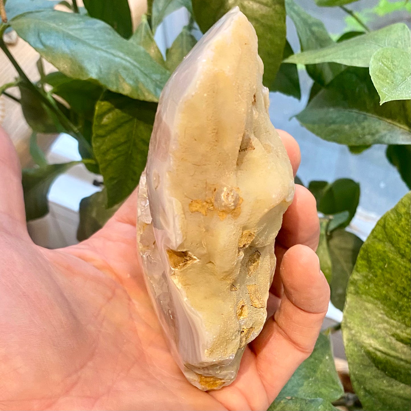 Agat geode, poleret Agat geode, poleret