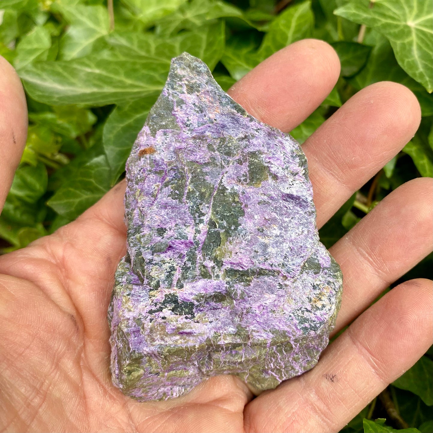 Stichtit og serpentin - polished one side Stichtit og serpentin - polished one side