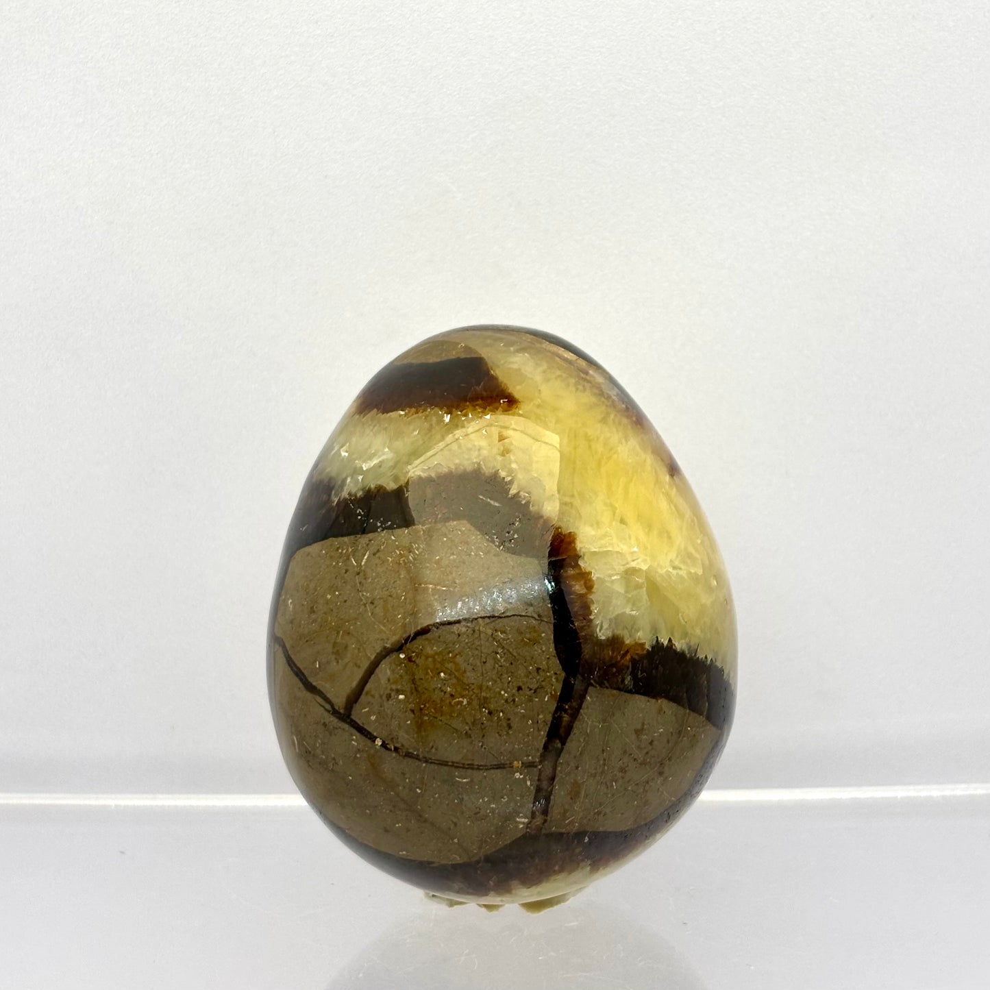 Septarie drusy æg 5,5 cm | nr. 7 Septarie drusy æg 5,5 cm | nr. 7