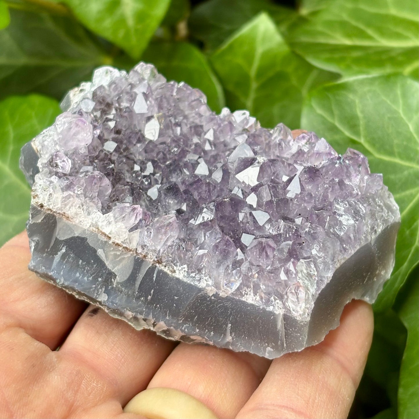 Ametyst klynge Brasilien nr 6 Ametyst klynge Brasilien nr 6