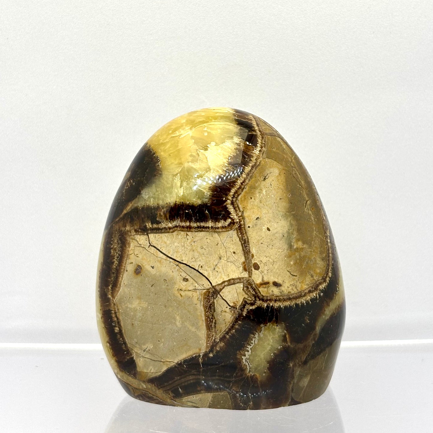 Septarie drusy form 6,5 cm | nr. 11 Septarie drusy form 6,5 cm | nr. 11