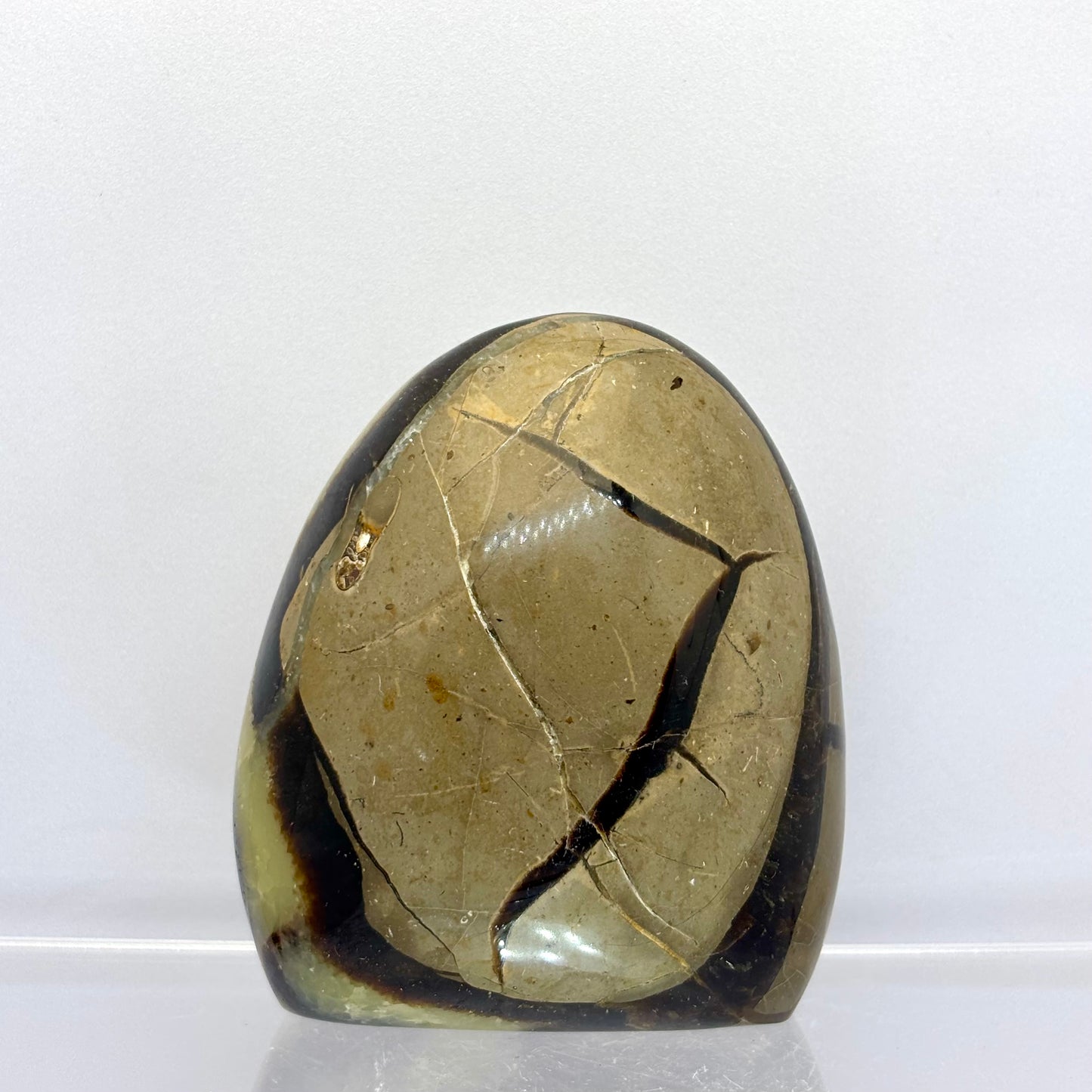 Septarie drusy skulptur 7,5 cm | nr. 6 Septarie drusy skulptur 7,5 cm | nr. 6