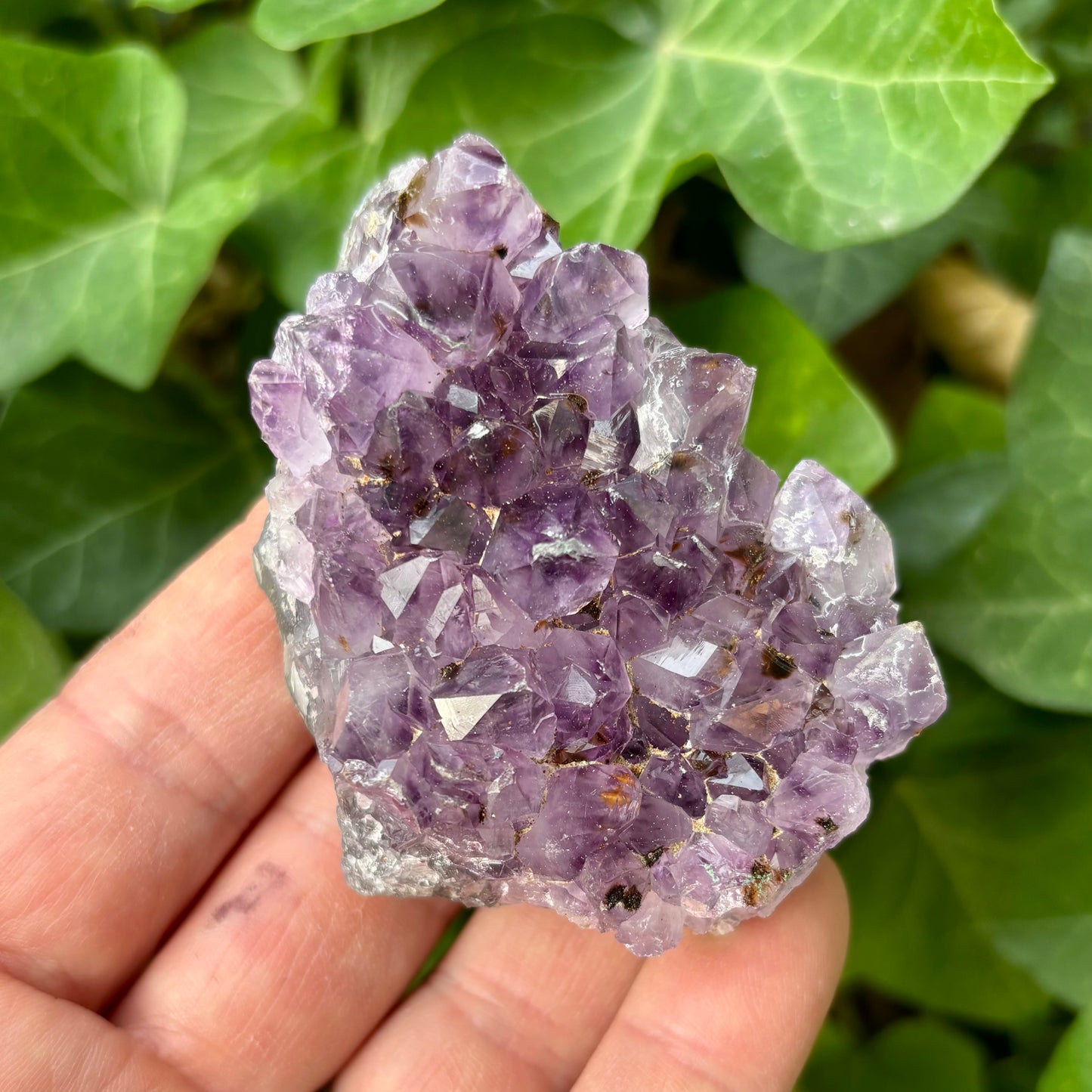 Ametyst klynge Uruguay nr 1. Ametyst klynge Uruguay nr 1.