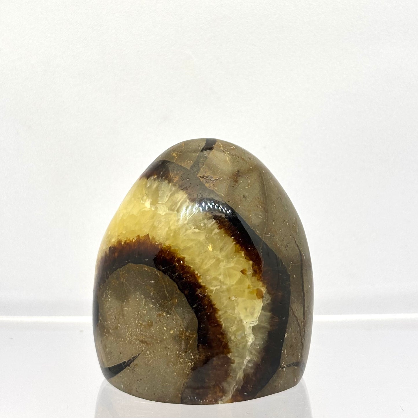 Septarie drusy form 5,5 cm | nr. 10 Septarie drusy form 5,5 cm | nr. 10