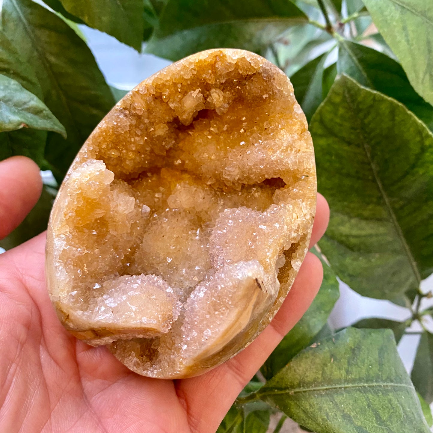Agat geode, poleret Agat geode, poleret