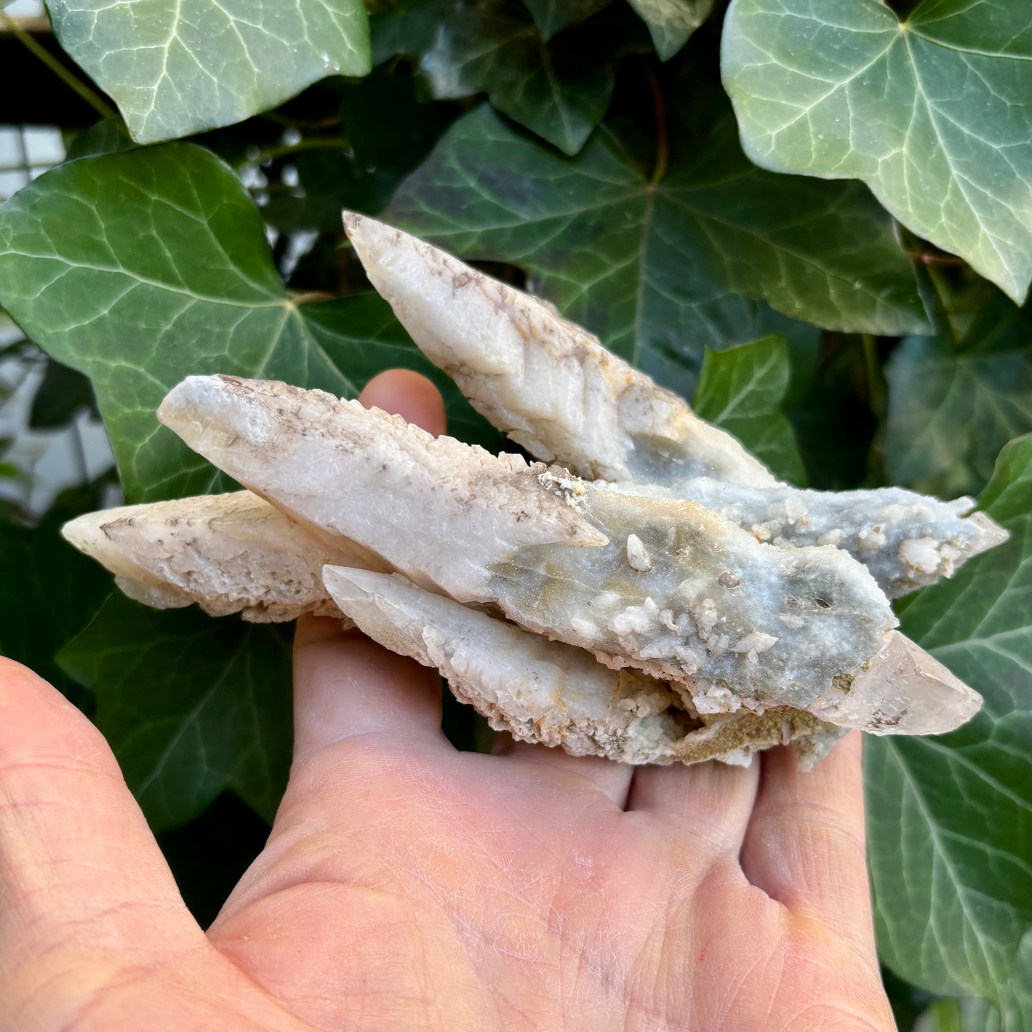 Pseudomorph Kvarts og Calcit | Wand Scepter | dobbelt termineret 4 spidser | 16 cm Pseudomorph Kvarts og Calcit | Wand Scepter | dobbelt termineret 4 spidser | 16 cm