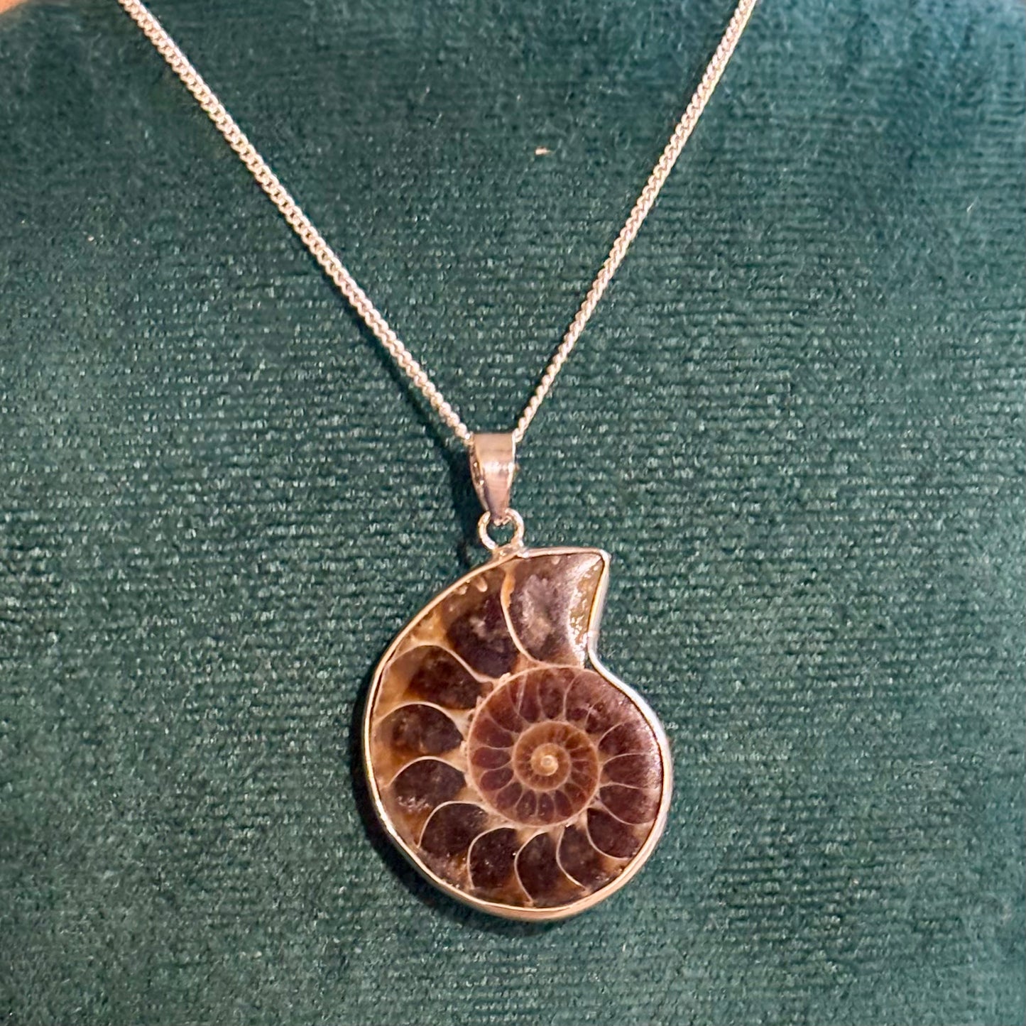 Ammonit sølv halskæde - højre drejet Ammonit sølv halskæde - højre drejet