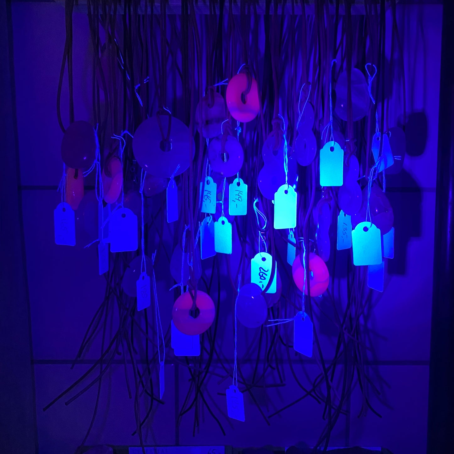 UV LED lygte UV LED lygte