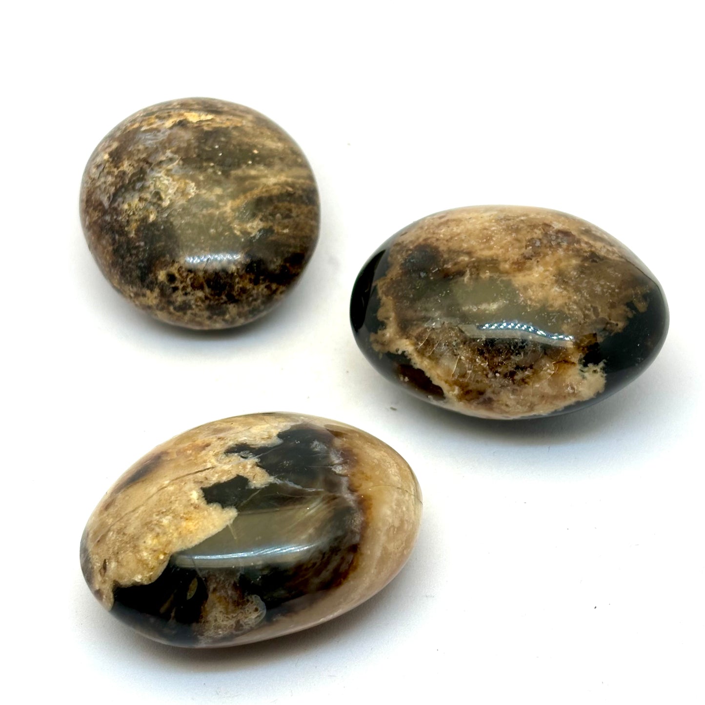 Sort opal palmstone 5 cm Sort opal palmstone 5 cm