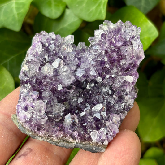 Billede af Ametyst klynge Uruguay nr 8