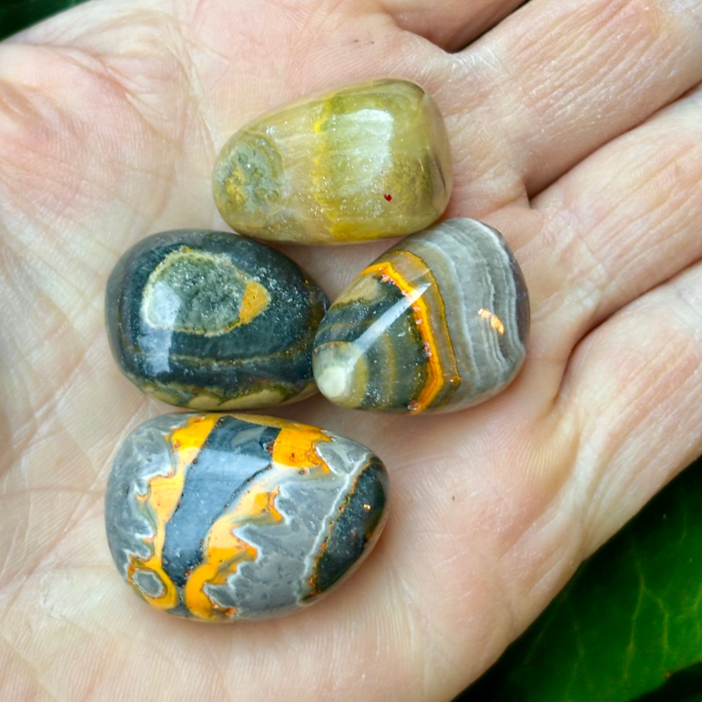 Jaspis, eclipse, bumblebee - lommesten Jaspis, eclipse, bumblebee - lommesten