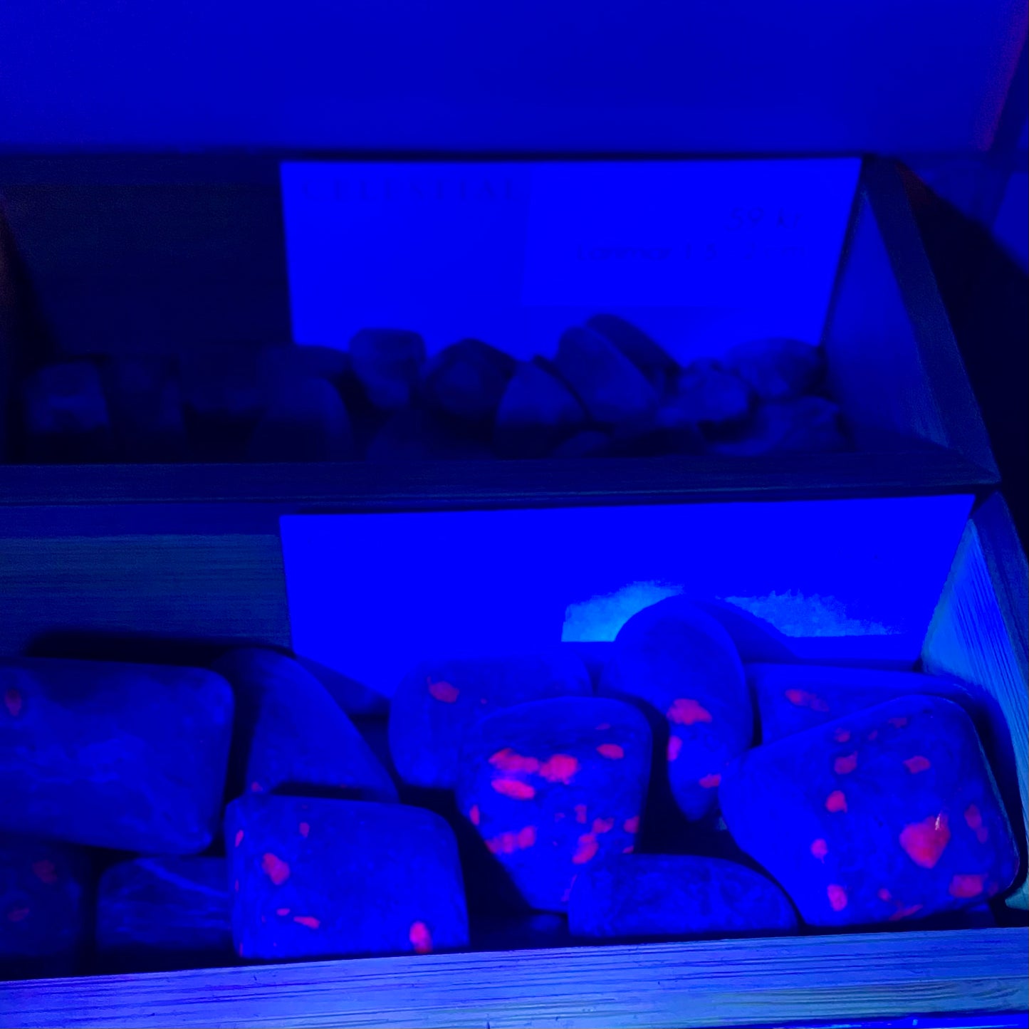 UV LED lygte UV LED lygte