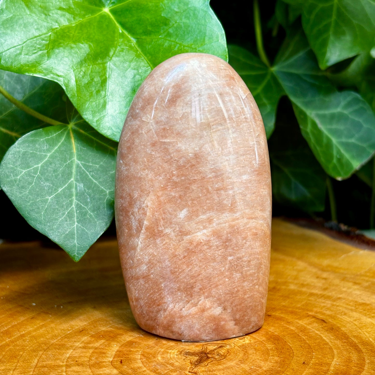 Fersken Månesten skulptur 9 cm Fersken Månesten skulptur 9 cm
