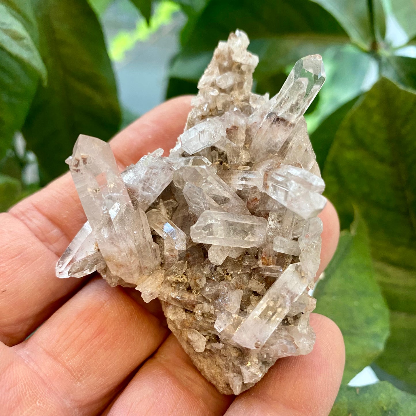 Kvarts klynge, Madagaskar Kvarts klynge, Madagaskar