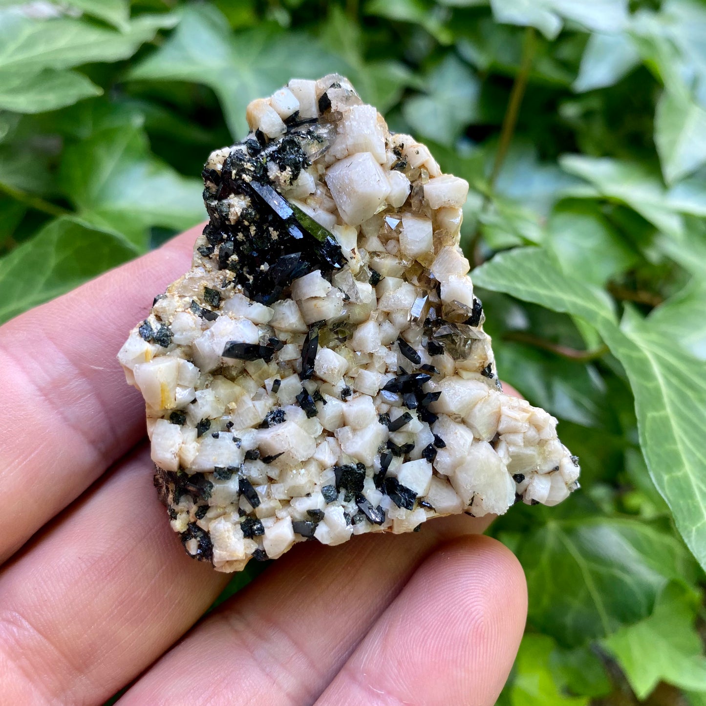 Aegirine og Zirkon i Orthoclase Aegirine og Zirkon i Orthoclase