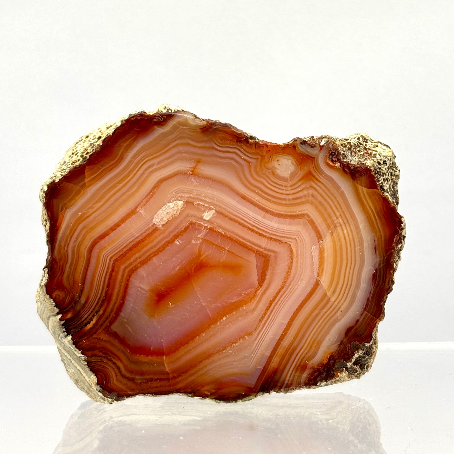 Karneol agat skive 6,5 cm | nr. 5 Karneol agat skive 6,5 cm | nr. 5