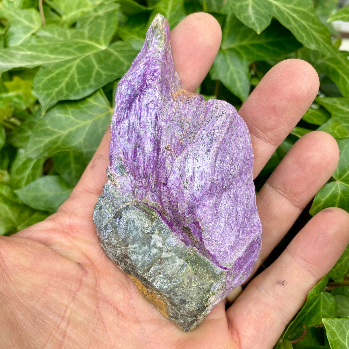 Stichtit og serpentin - polished one side Stichtit og serpentin - polished one side