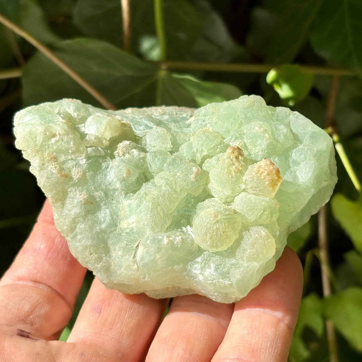 Prehnit klynge Botryoidal 9 cm | nr 4 Prehnit klynge Botryoidal 9 cm | nr 4