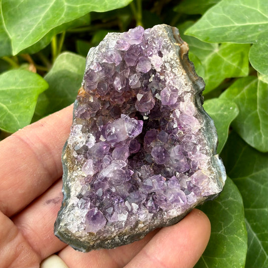 Billede af Ametyst klynge Uruguay nr 5