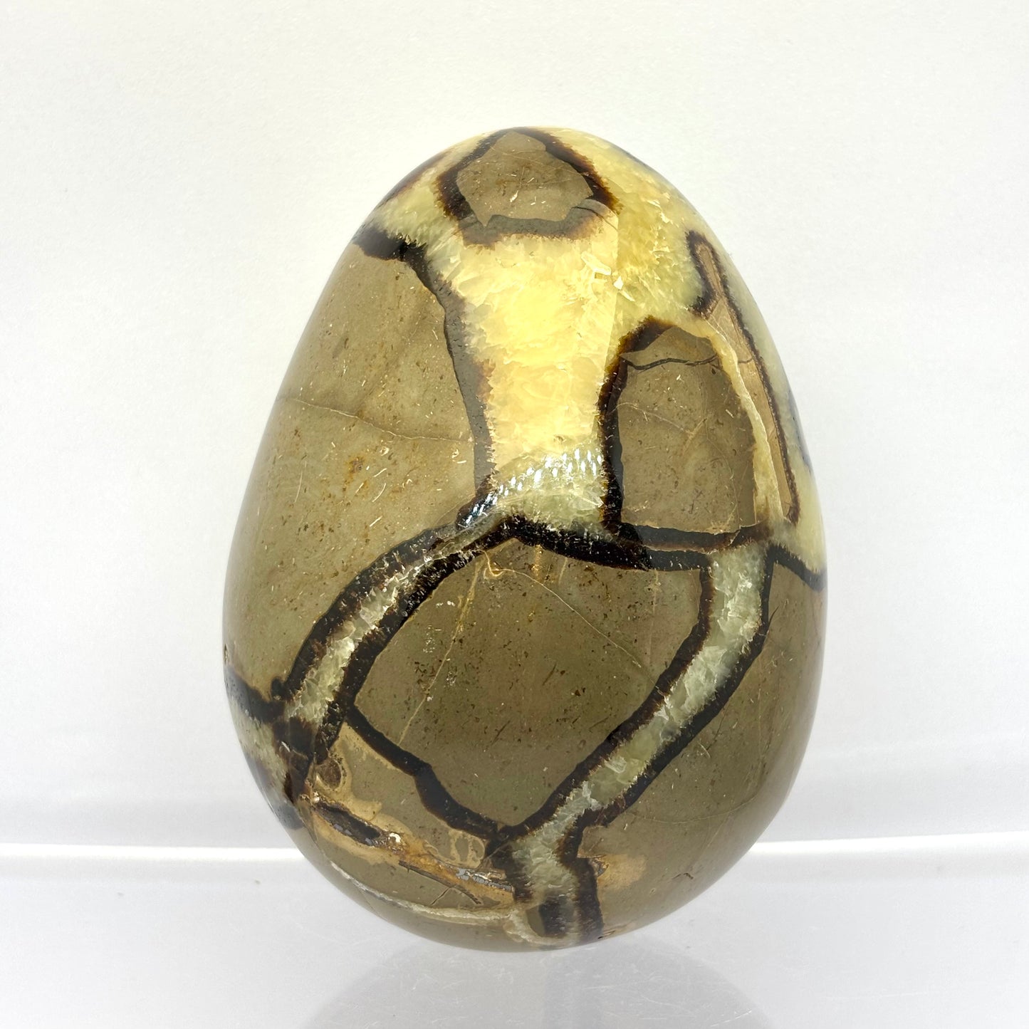 Septarie drusy æg 9,5 cm | nr. 9 Septarie drusy æg 9,5 cm | nr. 9