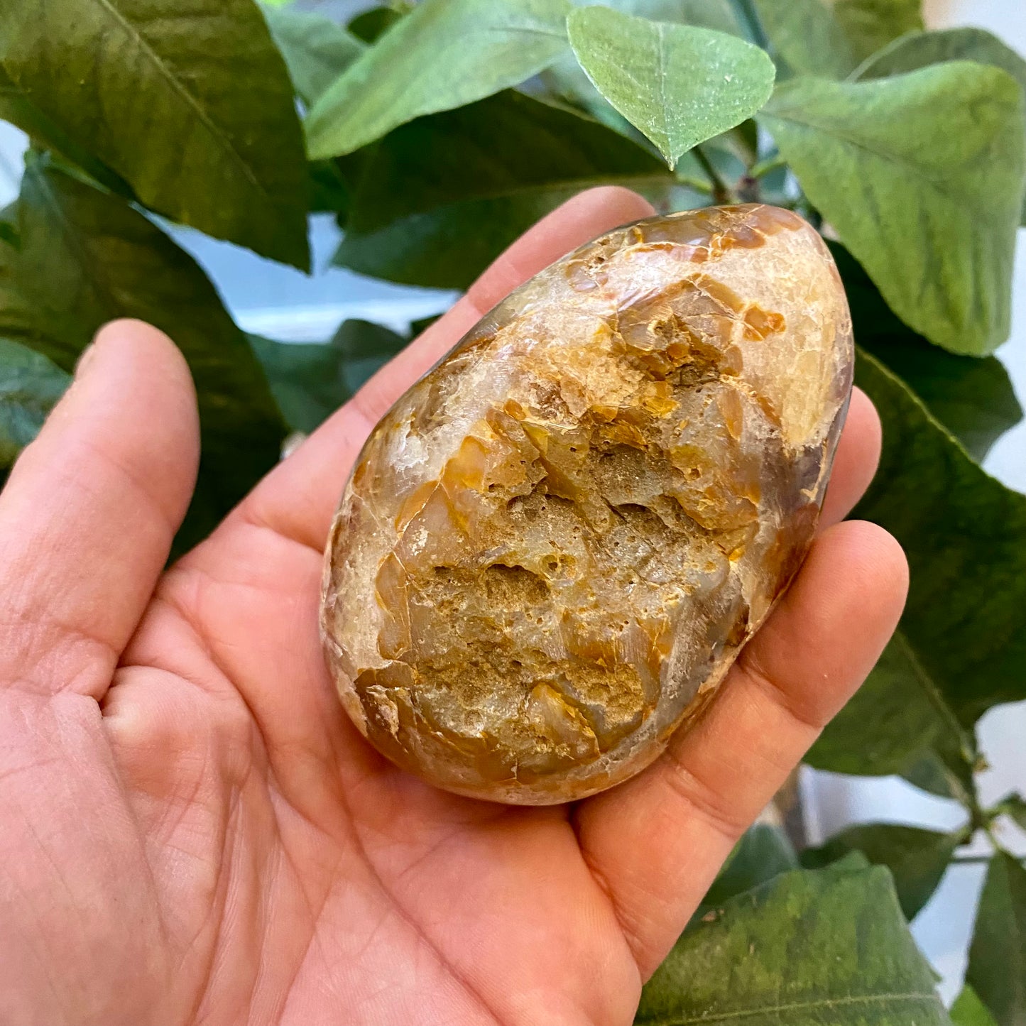 Agat geode, poleret (hul igennem) Agat geode, poleret (hul igennem)