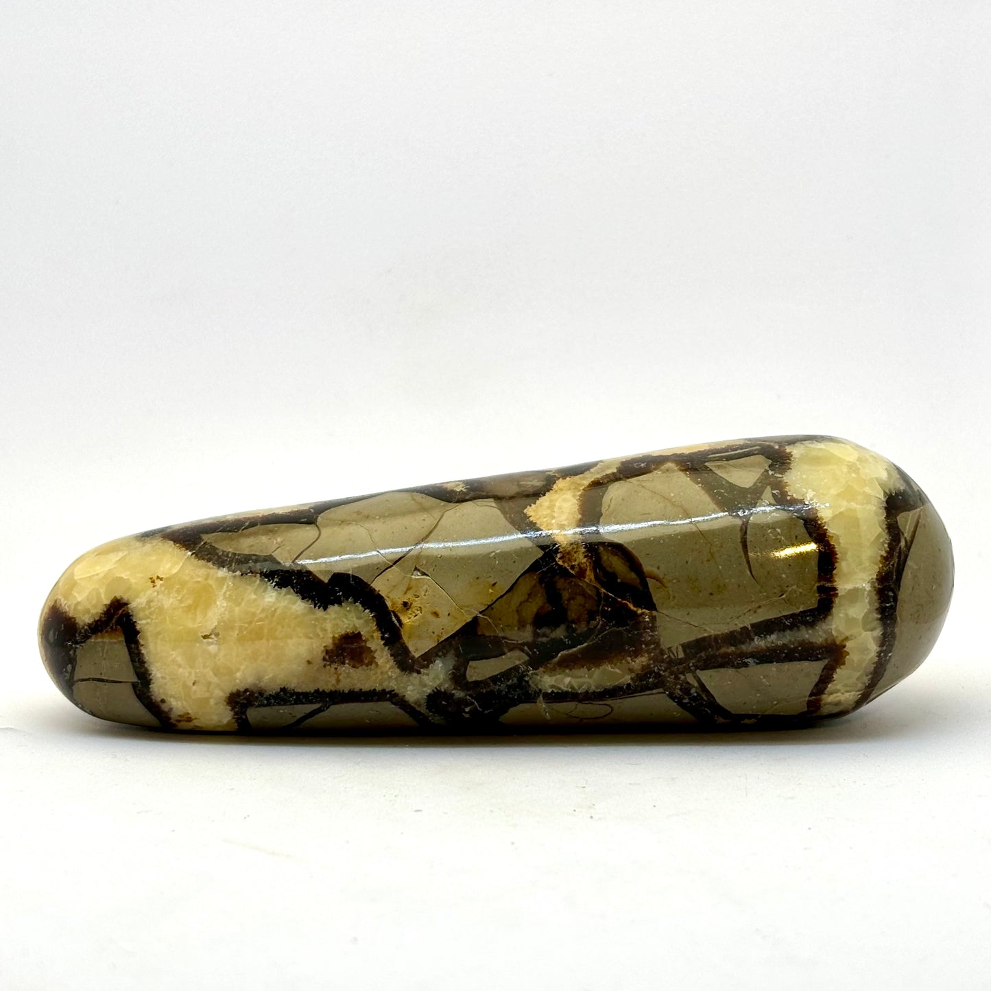 Septarie healerstav 14 cm Septarie healerstav 14 cm