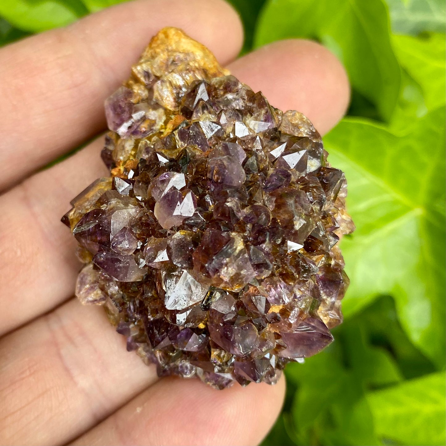 Ametyst vinrød Ametyst vinrød