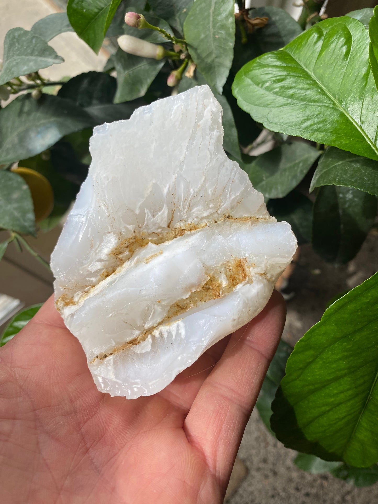 Cacholong naturlig 11 cm Cacholong naturlig 11 cm