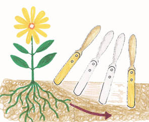 NUNKI - Kobber lugejern NUNKI - Kobber lugejern