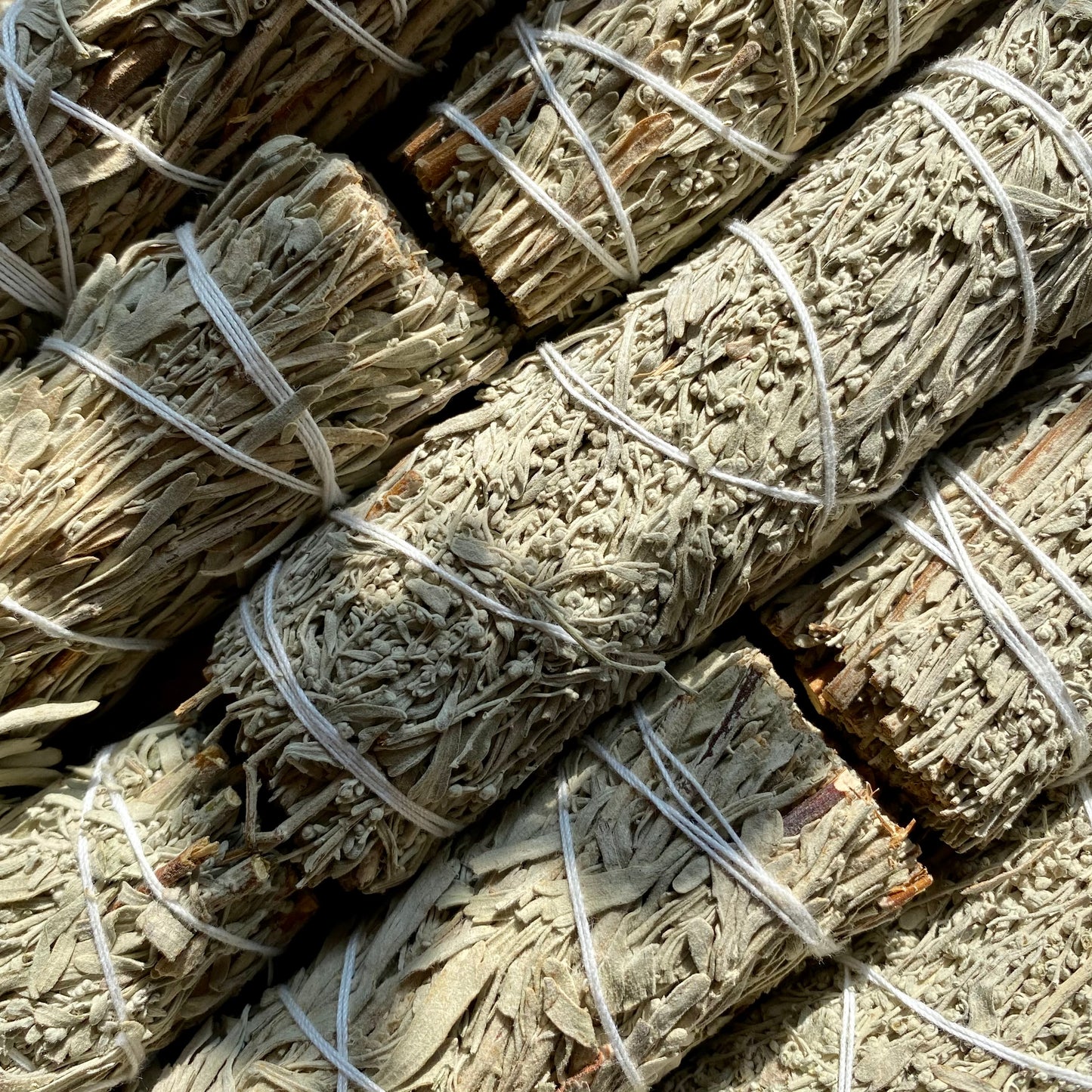 Blå Salvie - rens dine krystaller - smudge stick Blå Salvie - rens dine krystaller - smudge stick