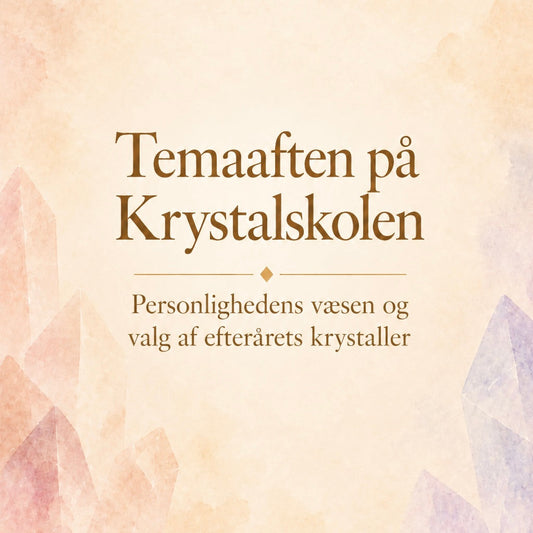 Temaaften d. 22. Oktober kl 19-21
