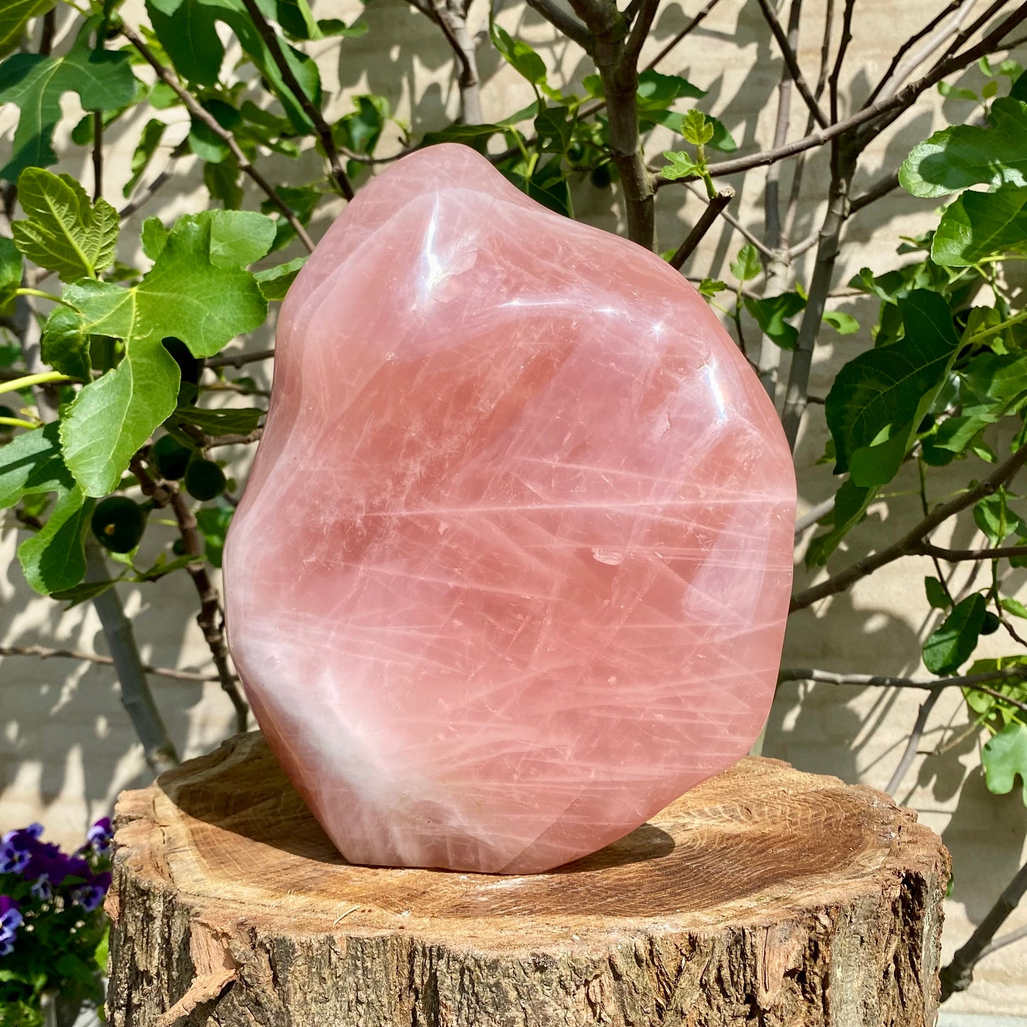 Polerad Rose Quartz statyett - 33 cm / 11,4 kg Polerad Rose Quartz statyett - 33 cm / 11,4 kg