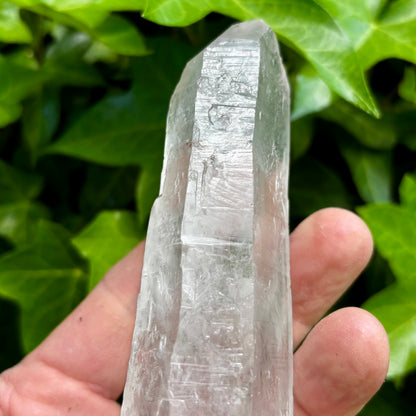 Bjergkrystal rå laser 16,5 cm | Brasilien