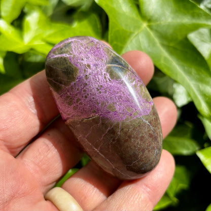 Stichtit i serpentin - palmstone | 7 cm