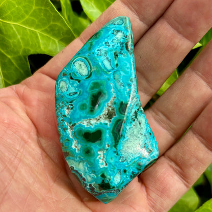 Mallacolla poleret 7,5 cm