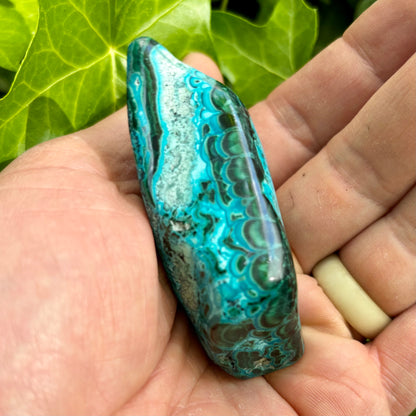 Mallacolla poleret 7,5 cm