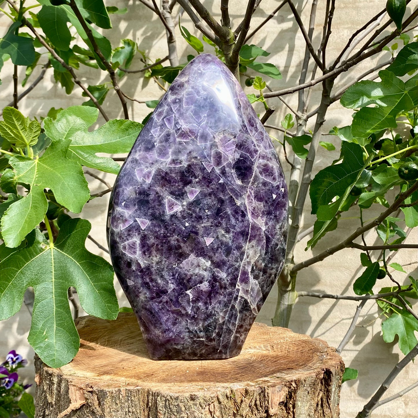 Polierter tiefvioletter Amethyst - 35 cm / 17 kg Polierter tiefvioletter Amethyst - 35 cm / 17 kg