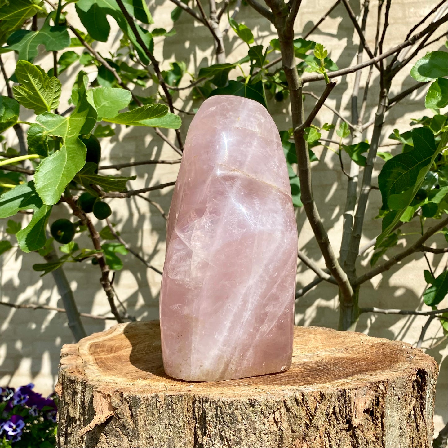 Polerad Rose Quartz statyett - 33 cm / 11,4 kg Polerad Rose Quartz statyett - 33 cm / 11,4 kg